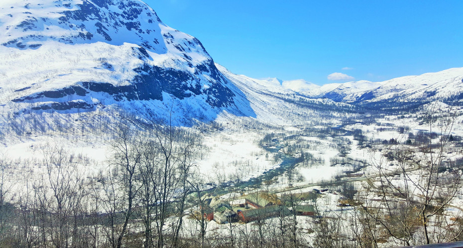 Europe's Epic Express Train Journeys Oslo to Bergen