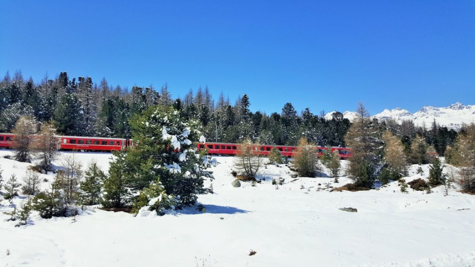 One of the older RhB trains heads towards St Moritz