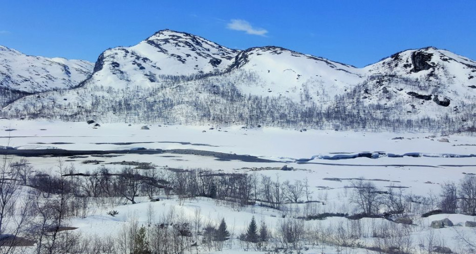 On the train journey between Oslo and Bergen