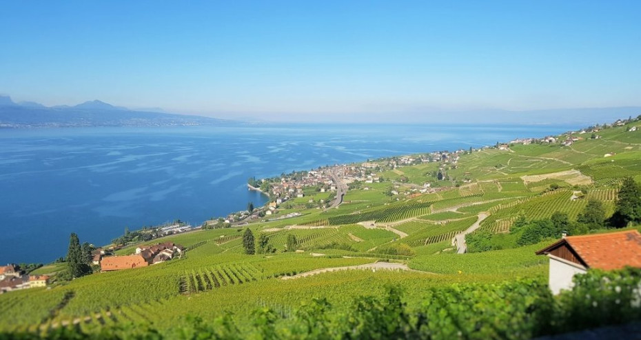 The railway climbs up away from Lake Geneva