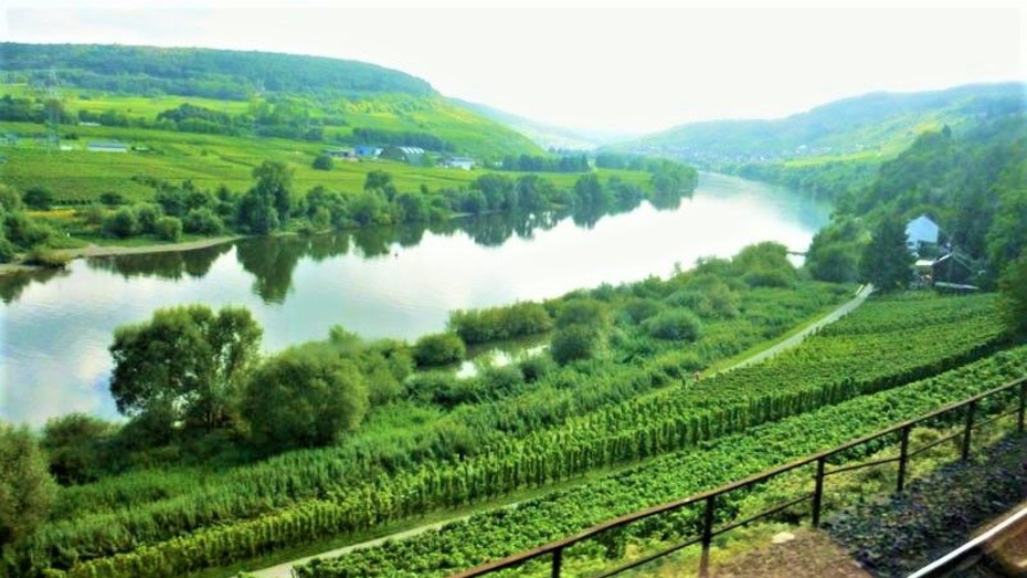 Through the Moselle river valley by train