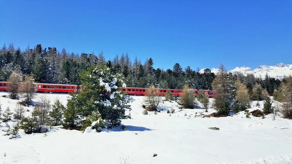 One of the older RhB trains heads towards St Moritz