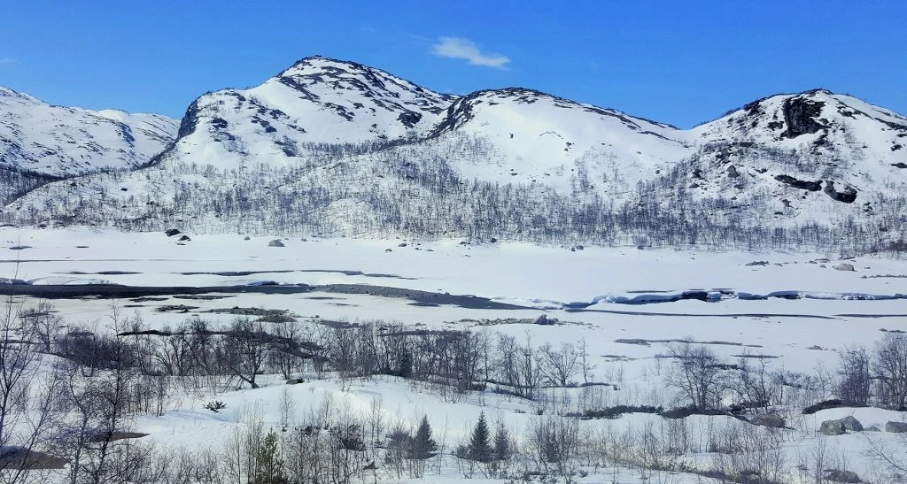 The stunning journey from Myrdal to Oslo is included on our Best of Northern Europe itinerary