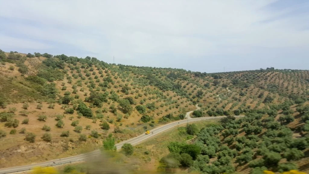 The epic train journey from Malaga to Barcelona