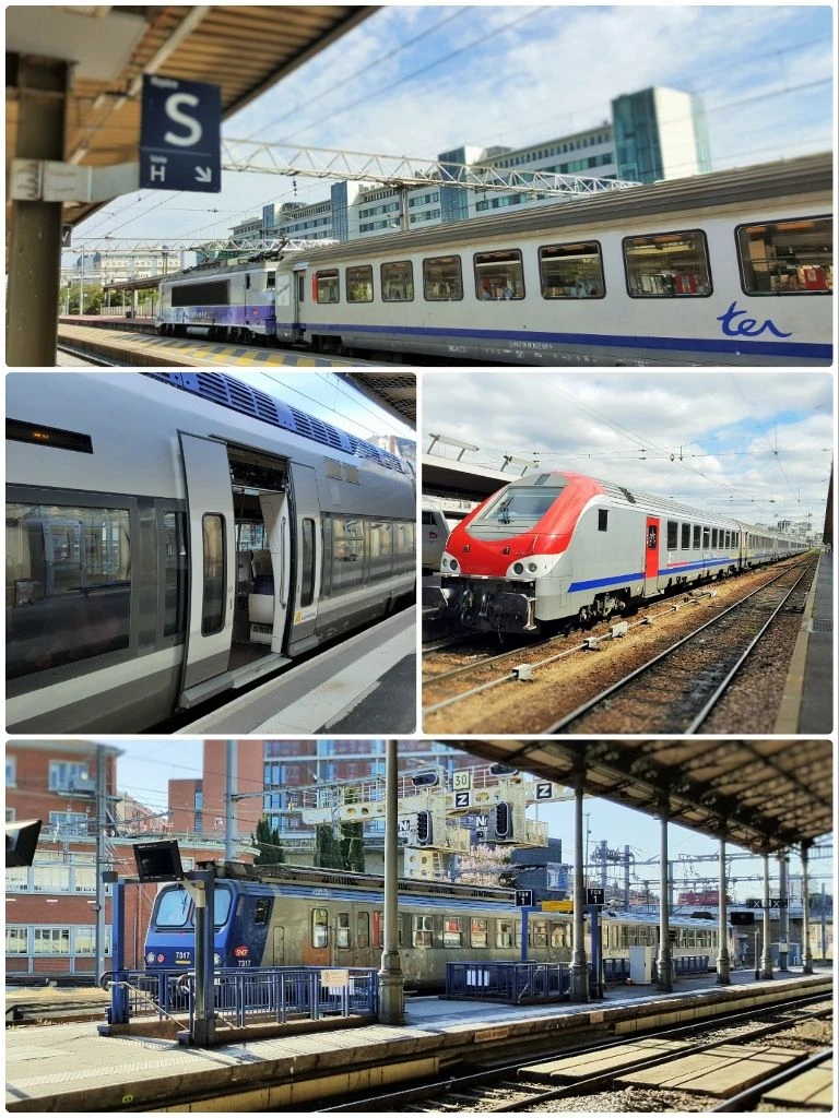 TER services are featured in the guide to travelling on trains in France