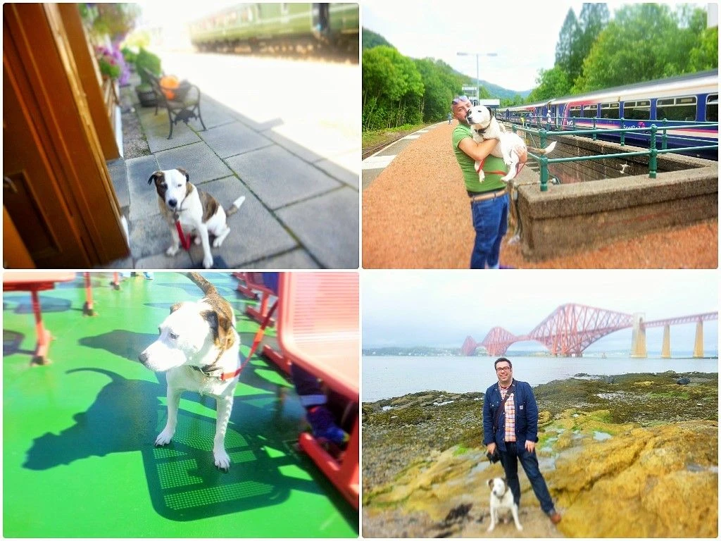 Scotland By Train With A Dog