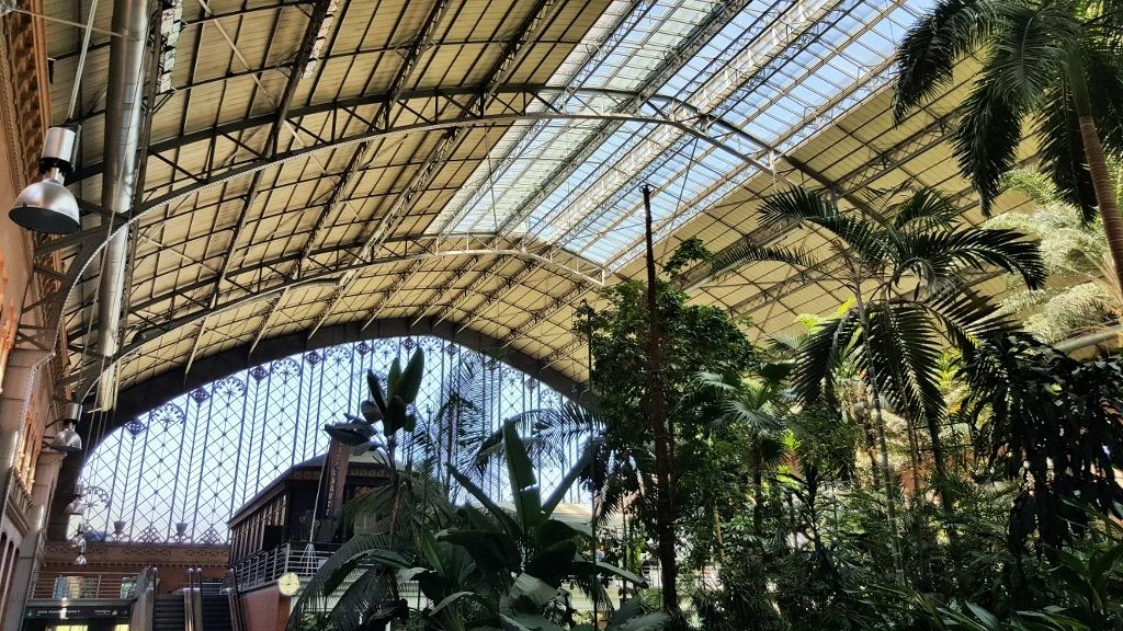 The now iconic indoor garden at fabulous Madrid-Atocha station
