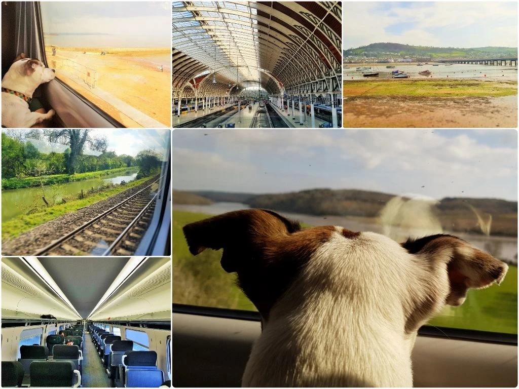 To Cornwall by train